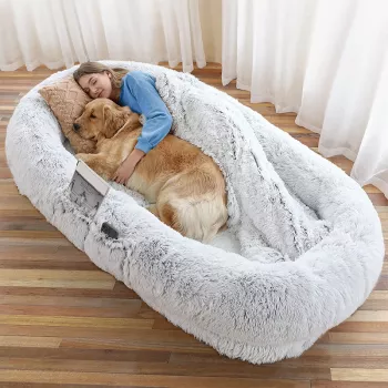 Washable Faux Fur Nap Sofa: Cozy for Humans & Pets